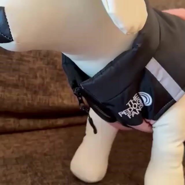 Video de Chaleco Puffer con Arnes Integrado | Abrigo comodo para paseos seguros