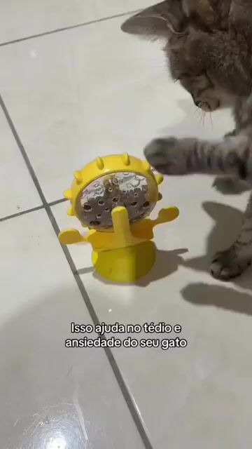 Vídeo de doce latido 