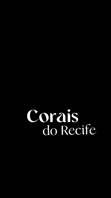 Vídeo de Corais do Recife