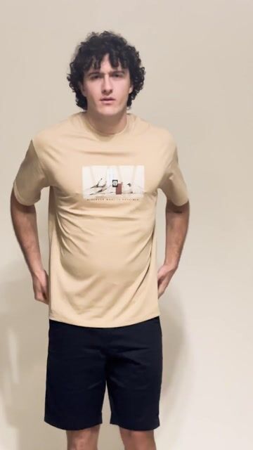 Video de Remera Hombre Algodon Peinado Premium Importada