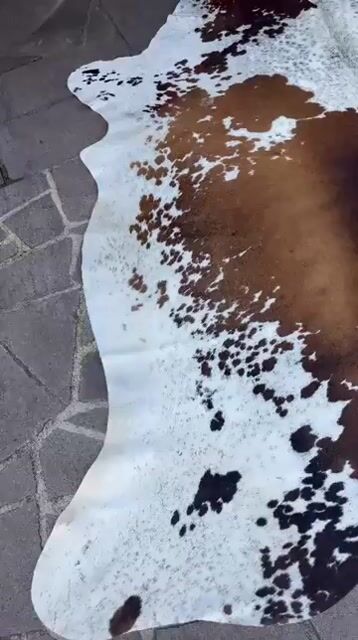 Vídeo de Nobre Tapetes de couro
