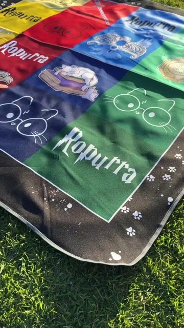 Video de Ropurra | El universo purrfecto de los Catlovers