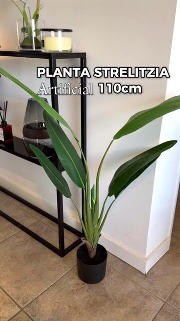 Video de Planta Strelitzia Artificial 110 cm