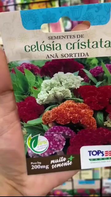 Vídeo de SEMENTES DE CRISTA DE GALO - CELOSIA CRISTATA SORTIDA ANA 300mg ISLA SEM. (12665 - 11383)