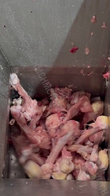 Video de CMS máquina para separar carne mecánicamente