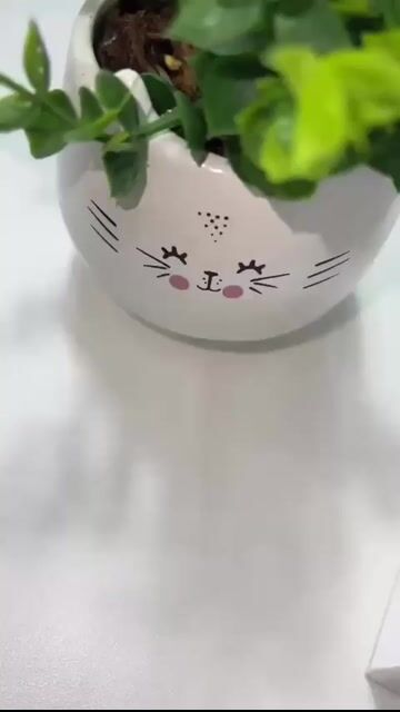 Vídeo de Short Alfaiataria Feminino Infantil Com Cinto Menina Moda Mini Diva Blogueirinha Luxo