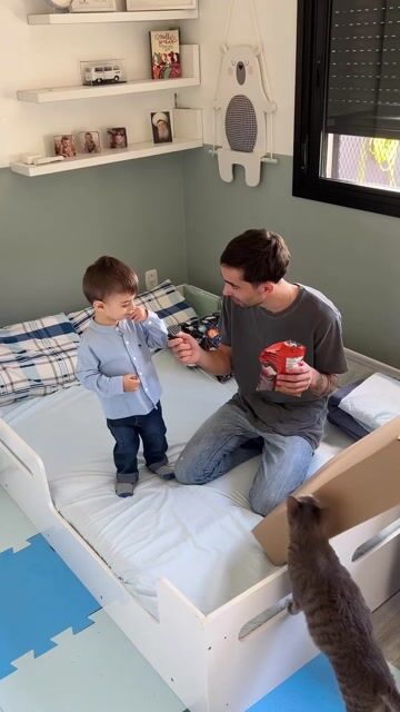 Vídeo de Quadro Decorativo Infantil Didático Raposa