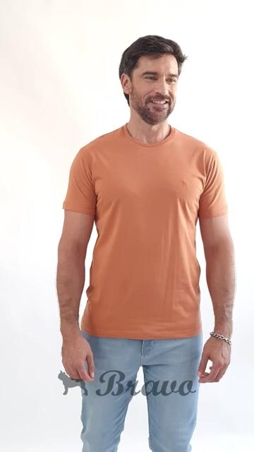 Video de Remera básica Ladrillo