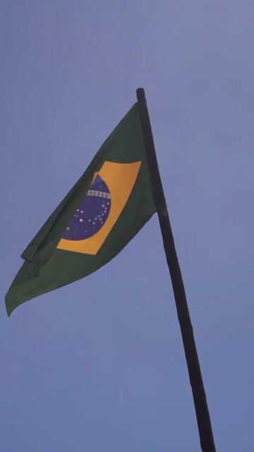 Vídeo de Calça Telada Brasil Amarela – Terraza