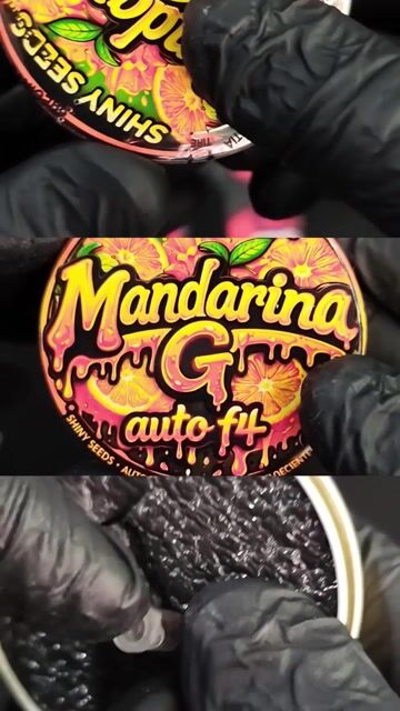 Video de Shiny Seeds