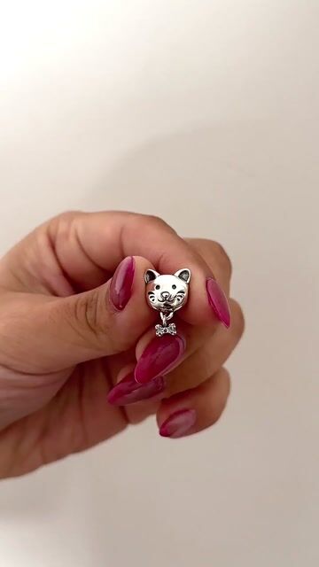 Video de Charm gato