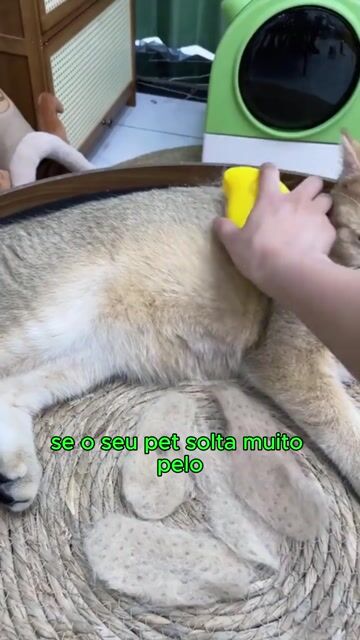 Vídeo de LovePet™ - Escova Removedora de Pelos à Vapor
