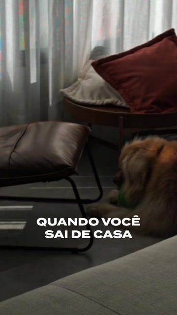 Vídeo de Ovo Maluco Tamanho G - (FRETE GRÁTIS NA COMPRA DE 2 OU MAIS UNIDADES DE QUALQUER COR E TAMANHO!)