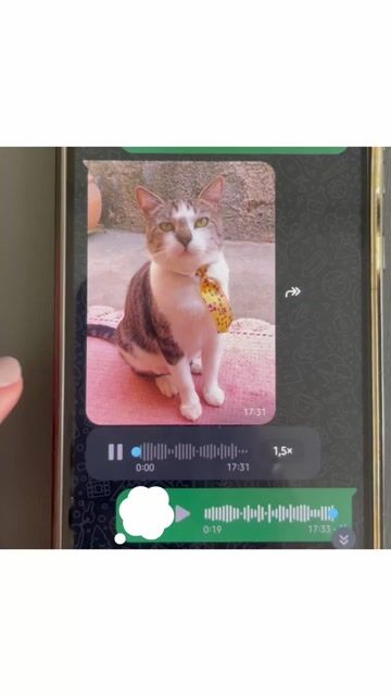 Video de Chaveiro Personalizado com Foto + Escrita | Aço