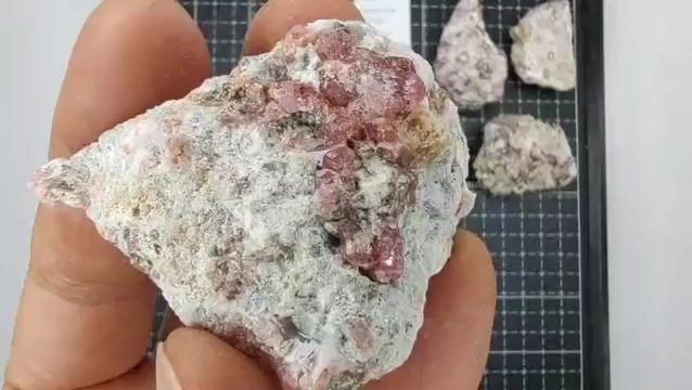 Video de 201 gr Granate Rosa de Coahuila (4 pz) - Minerales de Colección