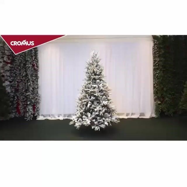 Vídeo de MaxFesta