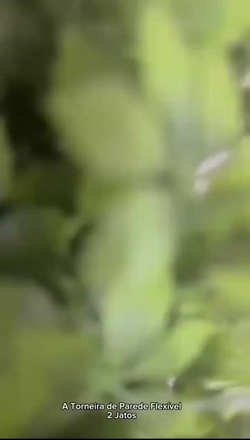 Video de Paulimarx Conceito - O melhor em metais para sua Casa: Torneira, Chuveiro, Ducha, Ralo, Misturador, Válvula, Acabamento