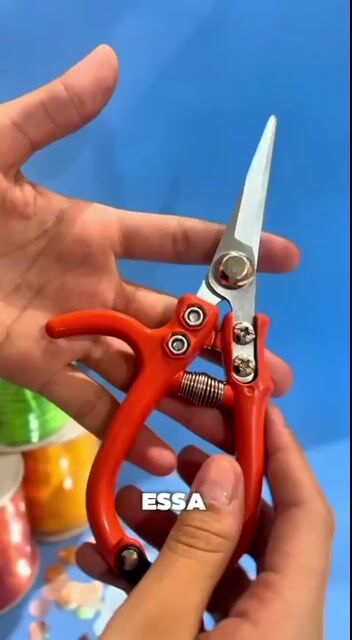 Vídeo de sostrass acessorios e pedrarias