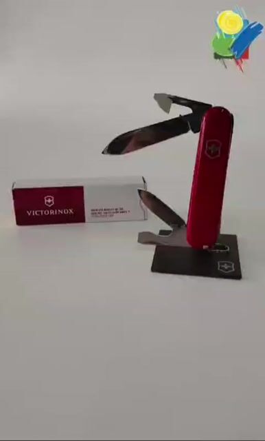 Video de Pezcalandia