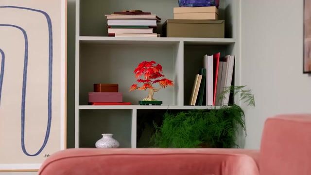 Vídeo de LEGO Bonsai Bordo Vermelho (Botanicals)