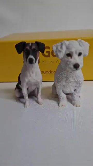 Vídeo de Pets