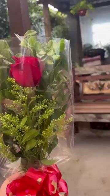 Vídeo de Floricultura Cia das Plantas