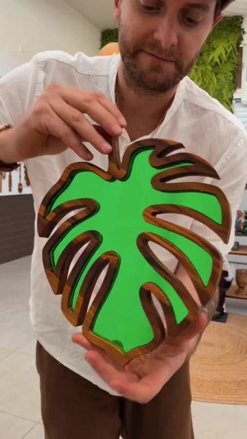 Vídeo de Costela de Adão - 30cm Alt