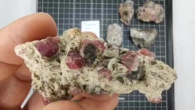 Video de 200 gr Granate Frambuesa de Coahuila (5 pz) - Minerales de Colección