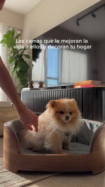 Video de SOKU