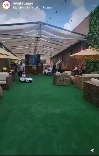 Vídeo de Grama Sintética Decorativa 12mm | Rolo 10m² (2x5m)