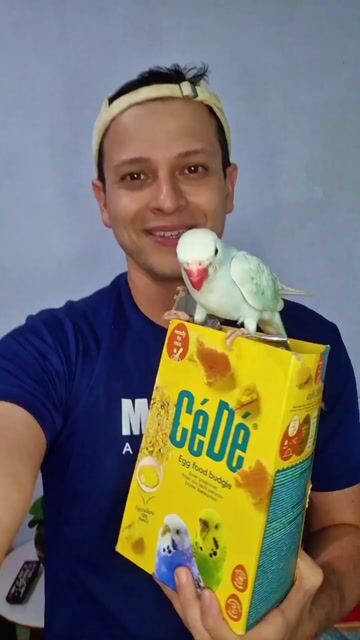 Video de Calopsitas e Periquitos, Farinhada à base de Ovos 1kg - CéDé Budgie