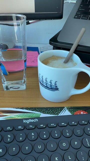 Vídeo de Livros do Rochi