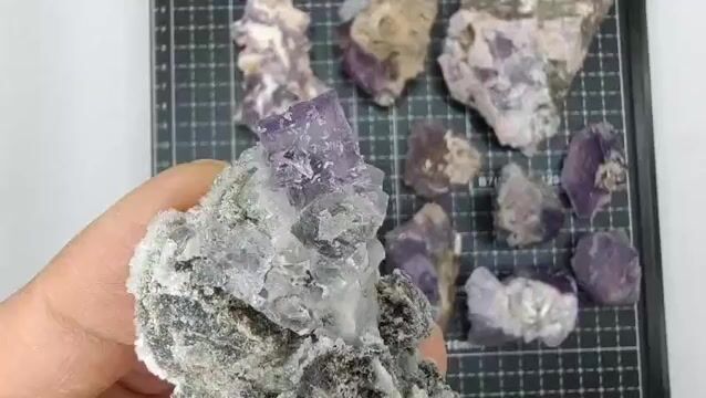 Video de 909 gr Fluorita Cúbica 11 Piezas Minerales de Colección