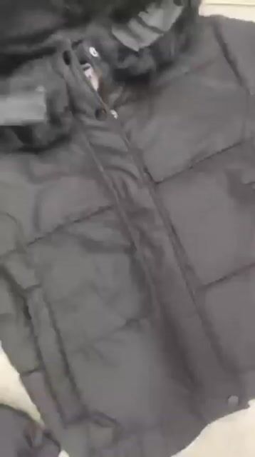 Video de Puffer Paula