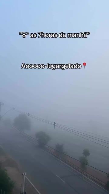 Vídeo de Flor Bordada cores Candy - 2,5cm