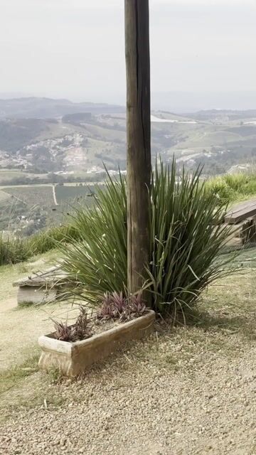 Vídeo de Churrasqueira Aço 60cm Portátil Pernas Fixas com Grelha Inox Moeda