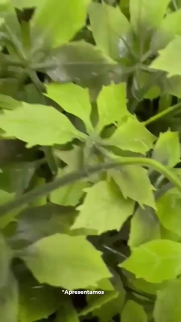 Vídeo de Paulimarx Conceito - O melhor em metais para sua Casa: Torneira, Chuveiro, Ducha, Ralo, Misturador, Válvula, Acabamento