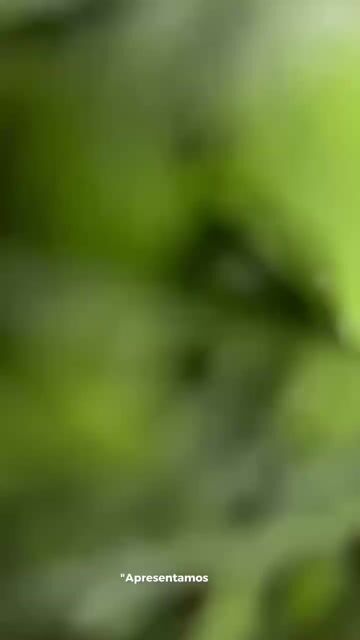 Video de Paulimarx Conceito - O melhor em metais para sua Casa: Torneira, Chuveiro, Ducha, Ralo, Misturador, Válvula, Acabamento