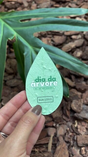Vídeo de plante1papel
