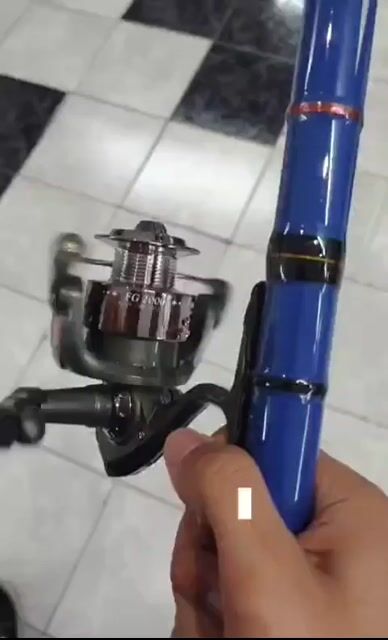 Video de Pezcalandia