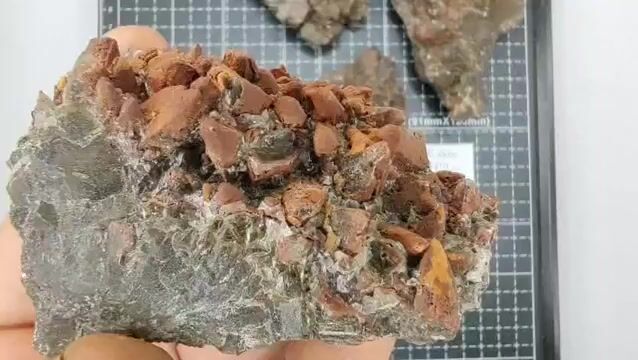 Video de 409 gr Calcita Escalenoédrica 5 Piezas Minerales de Colección