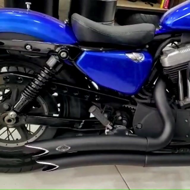 Video de ESCAPE SNAKE HEAD - SPORTSTER XL