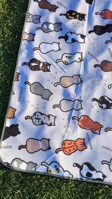 Video de Ropurra | El universo purrfecto de los Catlovers