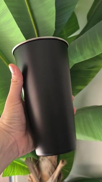 Video de LA SUREÑA
