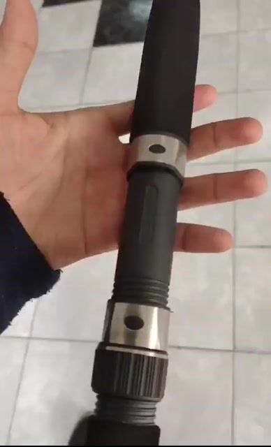 Video de Pezcalandia
