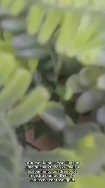 Vídeo de Paulimarx Conceito - O melhor em metais para sua Casa: Torneira, Chuveiro, Ducha, Ralo, Misturador, Válvula, Acabamento