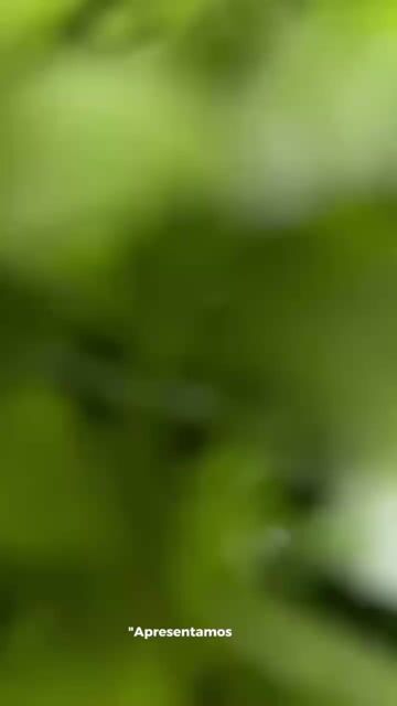 Vídeo de Paulimarx Conceito - O melhor em metais para sua Casa: Torneira, Chuveiro, Ducha, Ralo, Misturador, Válvula, Acabamento