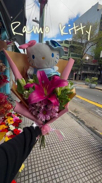 Video de ramo kitty