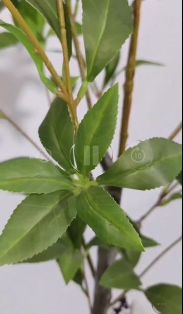Video de Planta Artificial Hojas Verdes 90 cm