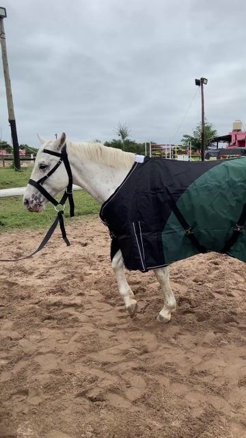 Video de Manta de abrigo MADOC Premium